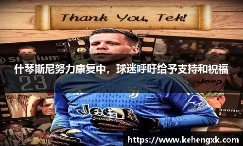 什琴斯尼努力康复中，球迷呼吁给予支持和祝福